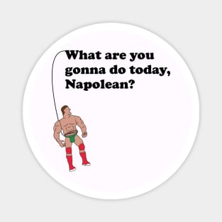 What are you gonna do today, Napolean? Magnet